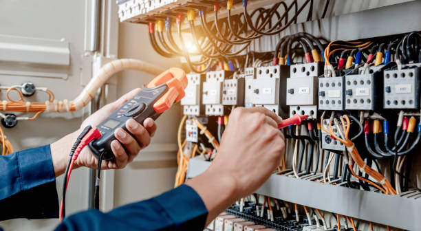 Best Electric Panel Repair  in Lincoln Park, MI