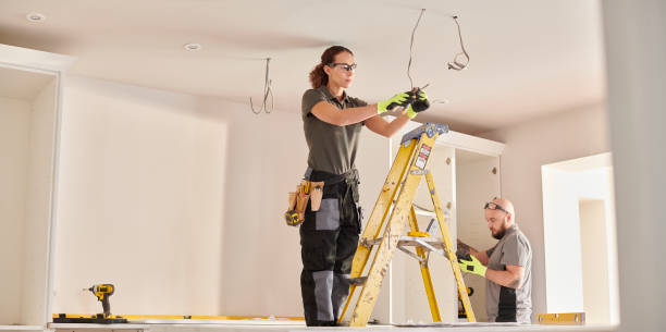 Best Electric Panel Repair  in Lincoln Park, MI
