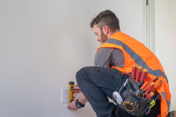 Best Electrician for Home Renovation  in Lincoln Park, MI